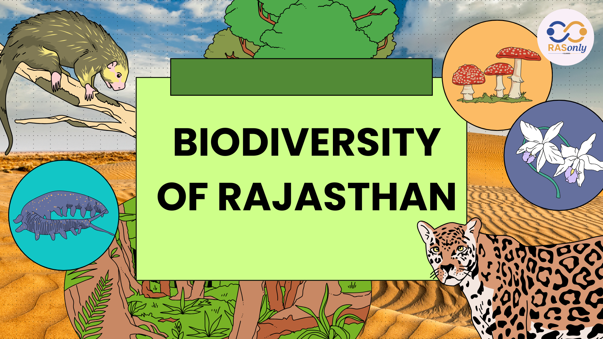 Biodiversity in Rajasthan