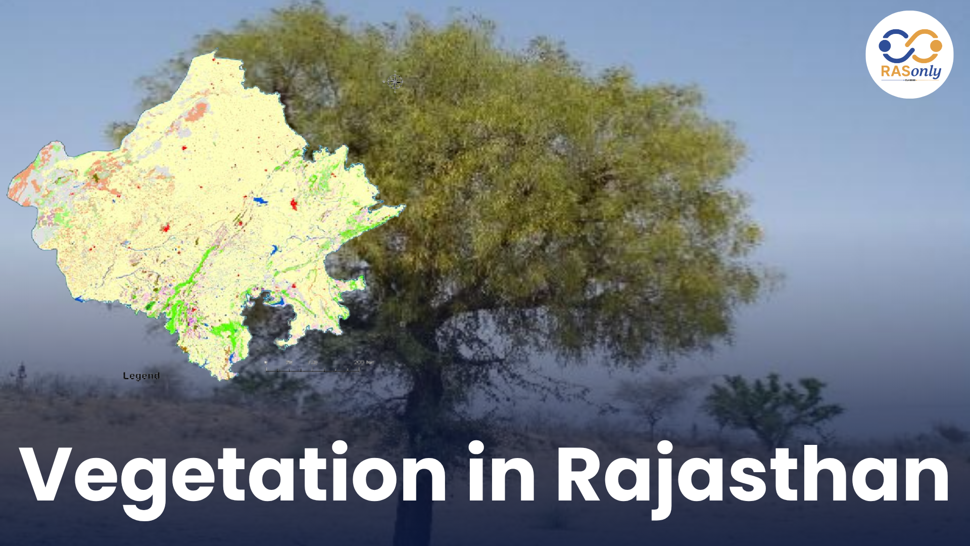 Vegetation in Rajasthan