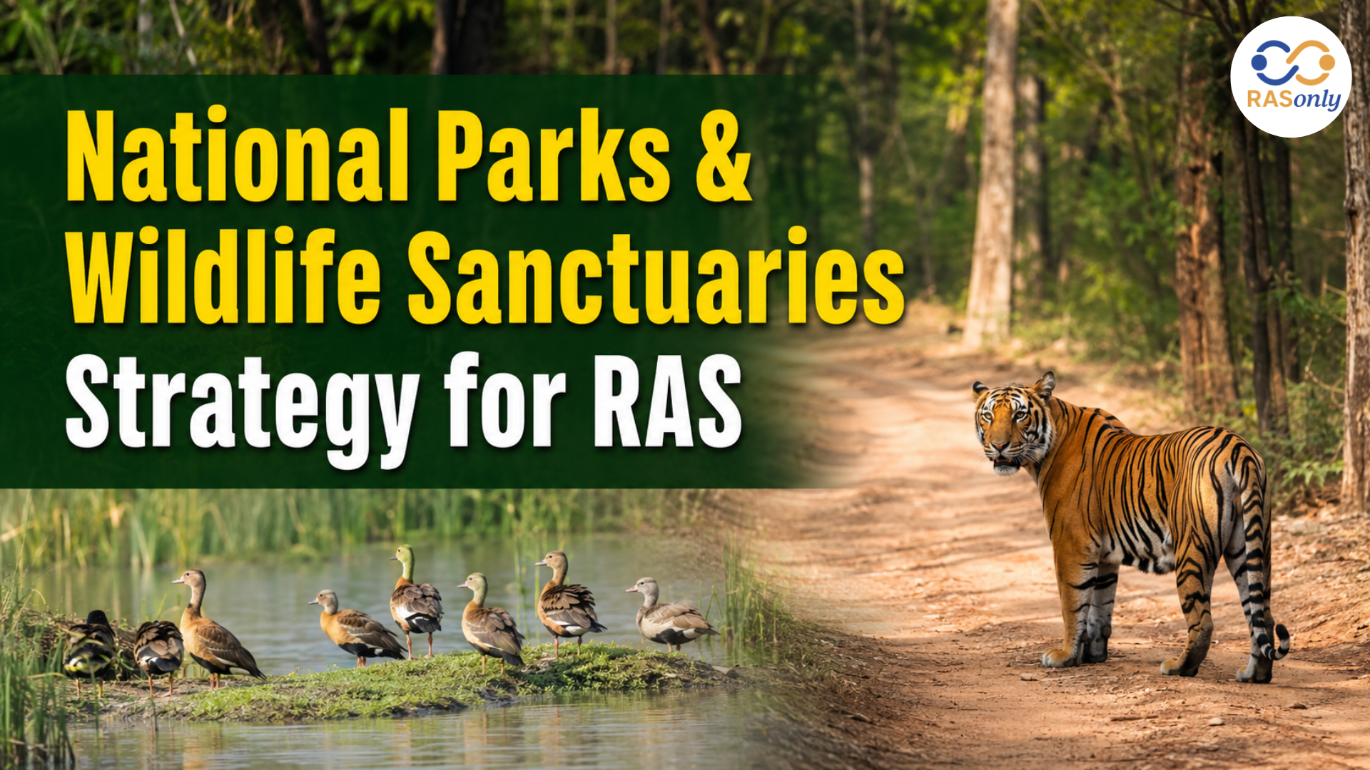 National Parks & Wildlife Sanctuaries Strategy for RAS