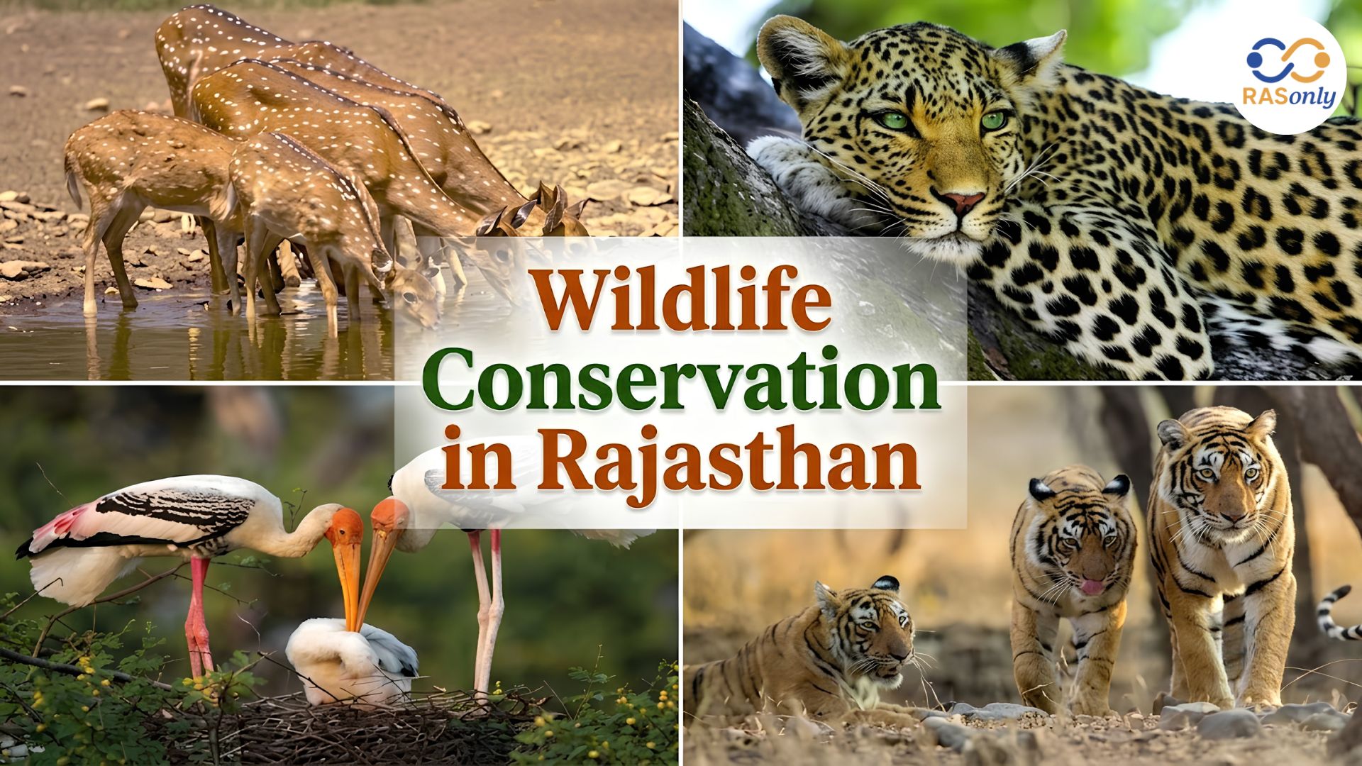 Wildlife Conservation in Rajasthan - RAS Exam Notes