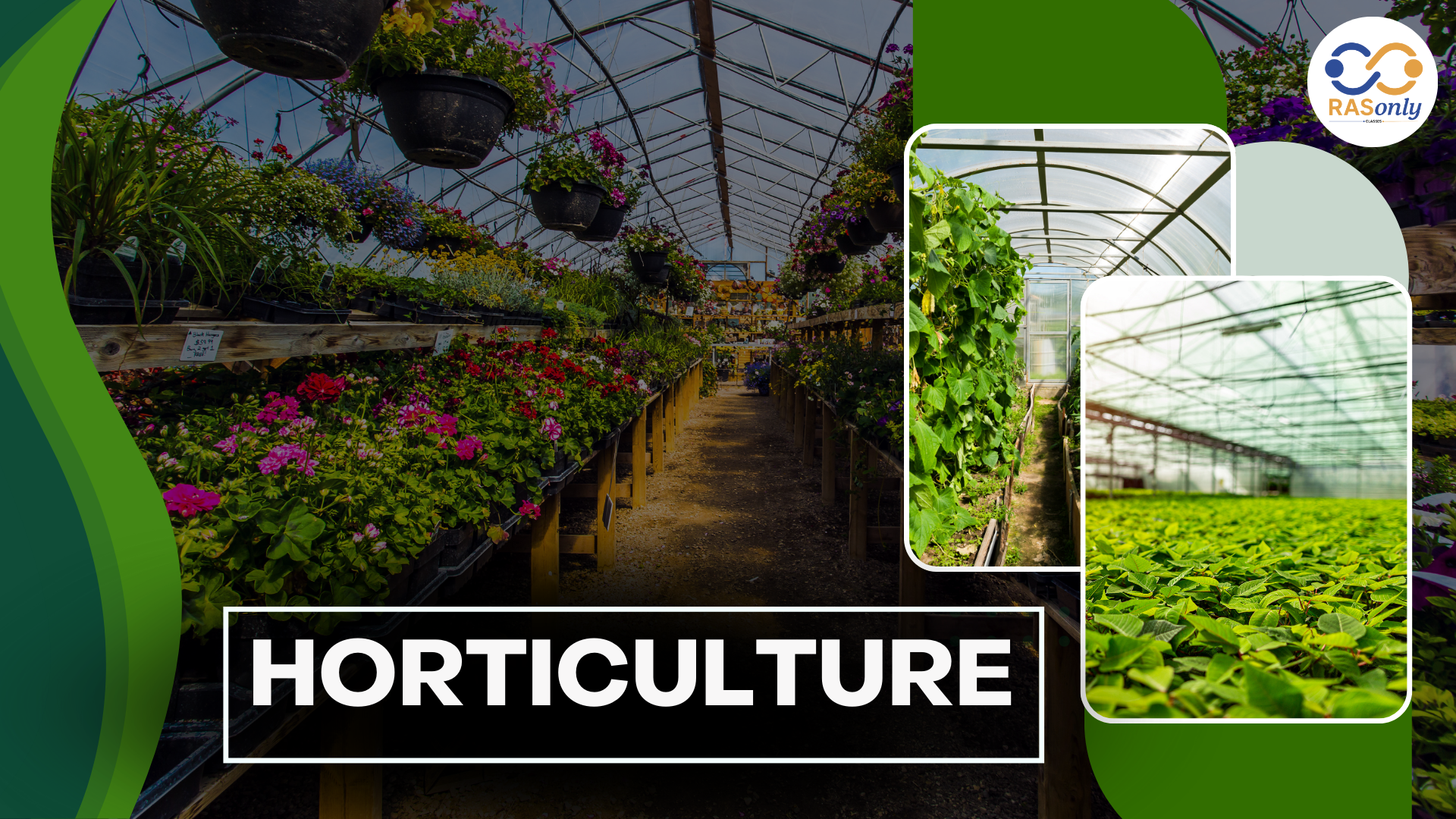 Horticulture | Definition, Types, Techniques, & Uses