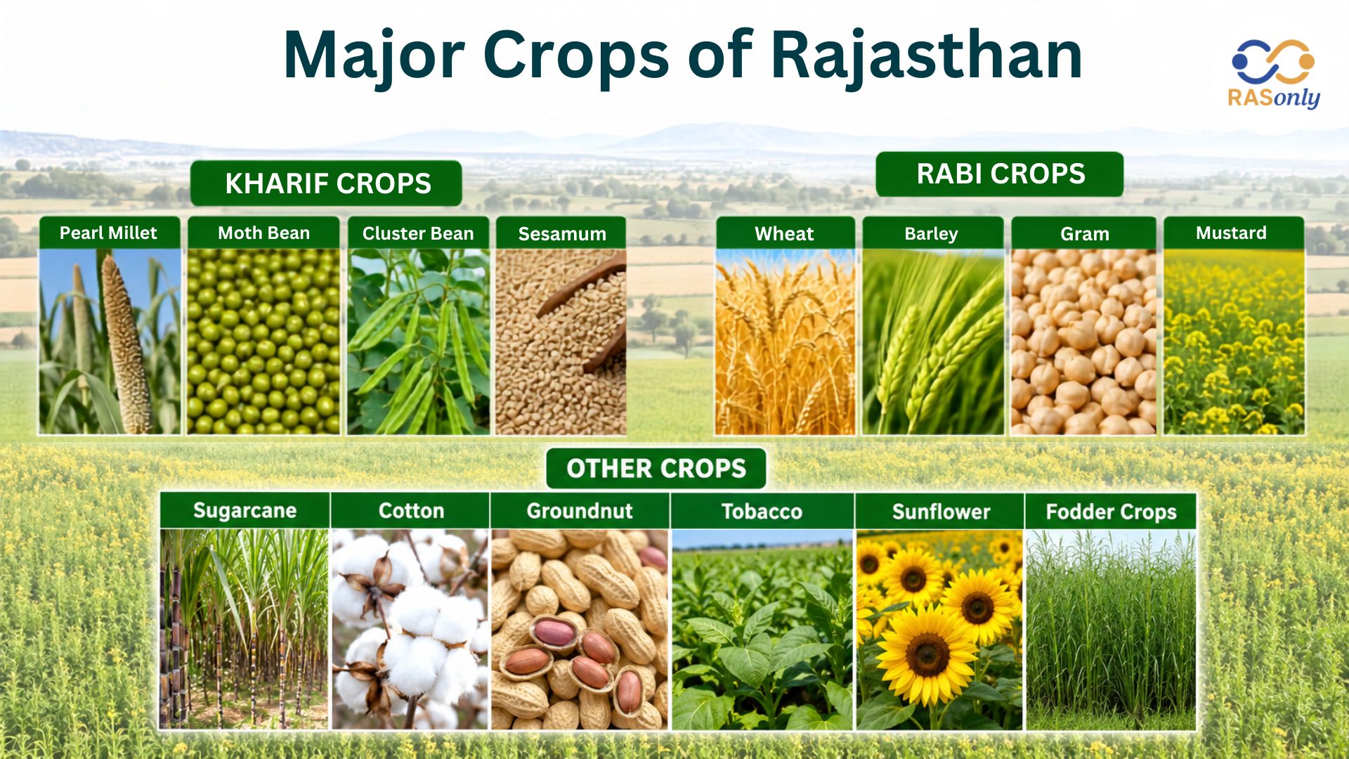 Major Crops
